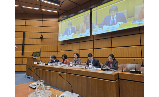 A Task Force meeting of G-77 member states was held on Draft Resolution on Transparency in Political Finance