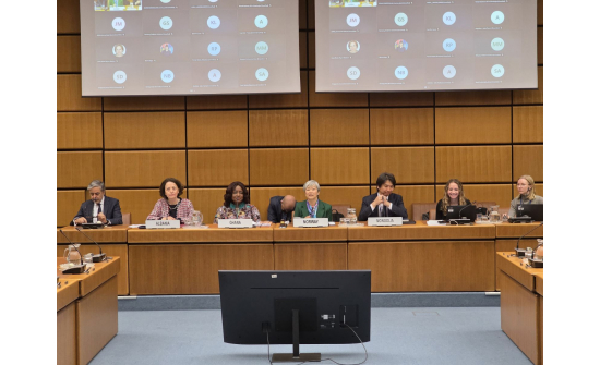 LAUNCH OF DRAFT RESOLUTION ON TRANSPARENCY IN POLITICAL FINANCE AT THE UNITED NATIONS IN VIENNA